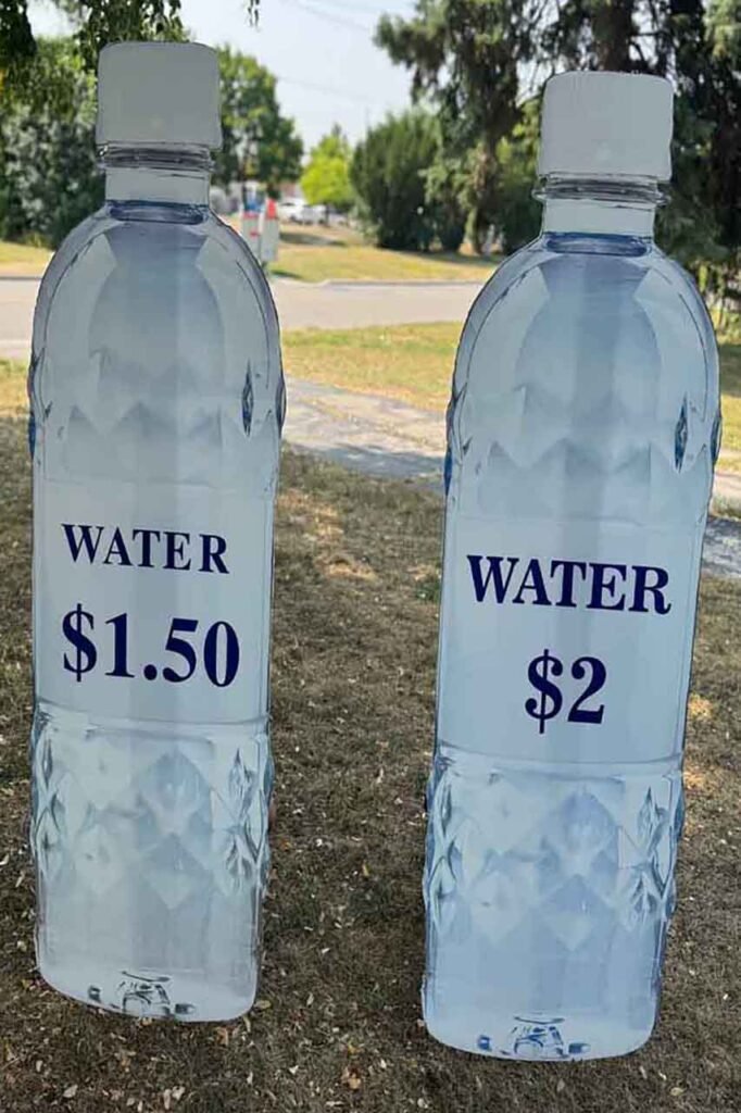 Festivals & Large-Scale Events decor in Toronto